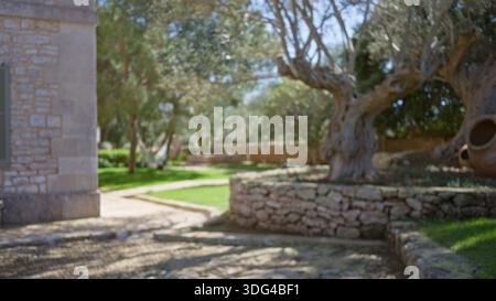 Vue imprenable sur un jardin méditerranéen avec murs de pierre historiques, verdure luxuriante et oliviers anciens dans un cadre serein et ensoleillé. Banque D'Images