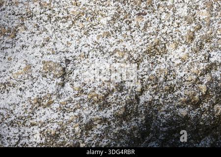 Fond de pierre de granit texturé rugueux avec détails de surface mouchetés et conception de matériau de roche gris naturel fournissant un abstrait solide et dur Banque D'Images