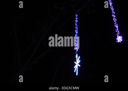 Lumières LED bleues et blanches en forme d'étoile suspendues à des branches d'arbre dans l'obscurité, parfaites pour la décoration festive et les arrière-plans de Noël. (124 chara Banque D'Images