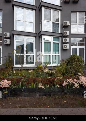 Petit jardin avec des fleurs d'automne et des buissons en face de l'appartement gris foncé. District de Darnytskyi, Kiev, Ukraine. Aménagement paysager urbain moderne et de Banque D'Images