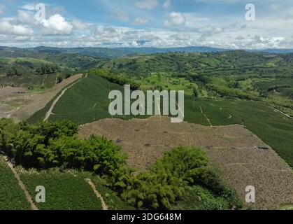Vue aérienne de champs agricoles luxuriants et verdoyants et de collines ondulantes sous un ciel bleu nuageux. Santander, Colombie Banque D'Images