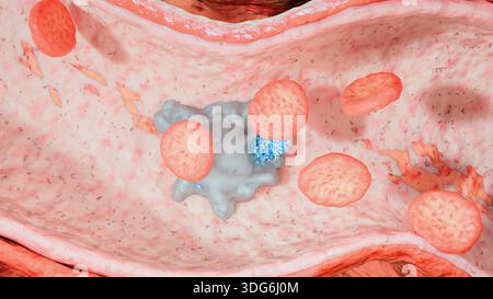 Globules blancs attaquant les bactéries et les virus par phagocytose à l'intérieur du système immunitaire humain. Concept médical et scientifique d'immunologie illust Banque D'Images