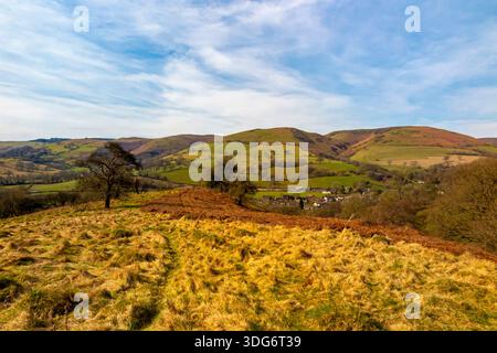Paysage avec arbre au début du printemps à Ragleth Hill près de Church Stretton dans les Shropshire Hills Angleterre Royaume-Uni avec le long Mynd au loin. Banque D'Images