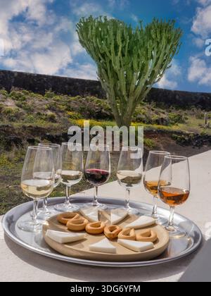 DÉGUSTATION DE VINS ÎLES CANARIES LANZAROTE Alfresco dégustation de vins ensoleillée avec sélection de vins rouges et blancs, fromage local et biscuits bodega jardin de la cave espagnole. Lanzarote Espagne Banque D'Images