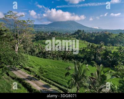 Vue aérienne Bali rizières baignées de soleil, Mont Agung levant sur Horizon, marches verdoyantes superposées, Banque D'Images