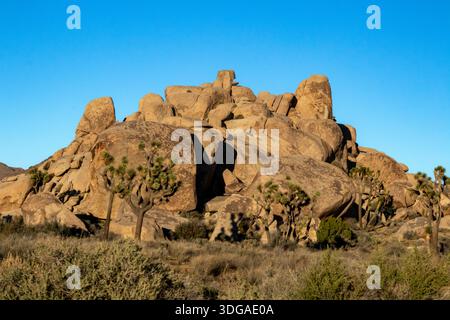Des rochers massifs du désert surplombent des paysages secs et clairsemés d'arbres Banque D'Images