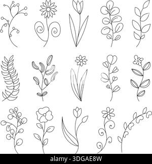 Une collection massive d'illustrations botaniques vectorielles. 15 éléments uniques, y compris diverses fleurs, branches et feuilles dans un style minimaliste. Illustration de Vecteur