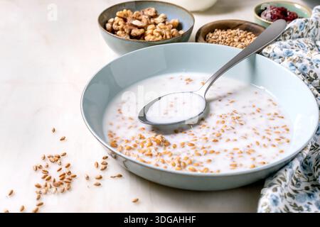 Bol de blé germé avec du lait avec cuillère à grains. Petits bols de graines de noix et baies séchées. Concept de petit déjeuner sain manger propre nutritif Banque D'Images