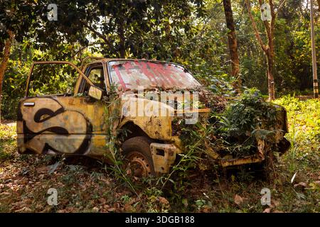 Thaïlande, Koh Mak, camionnette abandonnée pourrissant dans une plantation de caoutchouc Banque D'Images