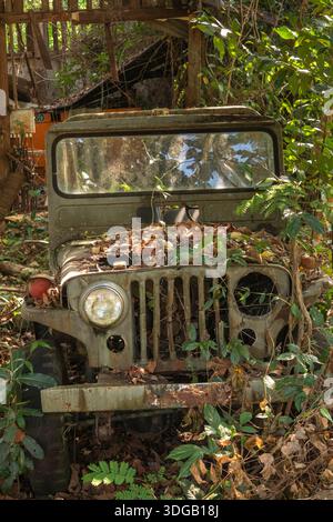 Thaïlande, Koh Mak, Côte Nord, Ao Taan, Cinnamon Resort, pourrir la jeep de Willy dans le sous-bois Banque D'Images