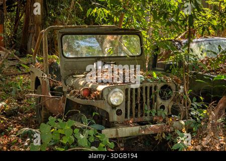 Thaïlande, Koh Mak, Côte Nord, Ao Taan, Cinnamon Resort, pourrir la jeep de Willy dans le sous-bois Banque D'Images
