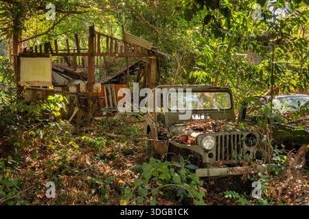 Thaïlande, Koh Mak, Côte Nord, Ao Taan, Cinnamon Resort, pourrir la jeep de Willy dans le sous-bois par le bâtiment brûlé Banque D'Images