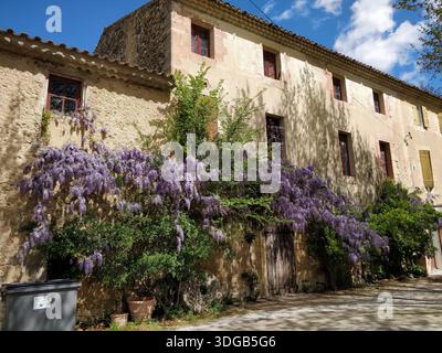 Un grand bâtiment ancien avec des fleurs violettes poussant sur le côté dans un cadre rural Banque D'Images