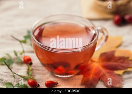 Tasse en verre de tisane rouge avec des baies de rose musquée sur les feuilles d'automne, nature morte saisonnière confortable avec une atmosphère d'automne chaude. Banque D'Images