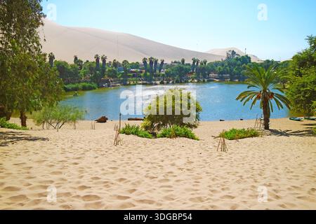 Lagon naturel de Huacachina oasis ville entourée de rangées de palmiers et dunes de sable étonnantes, région d'ICA, Pérou, Amérique du Sud Banque D'Images