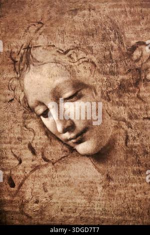 Tête d'une jeune femme aux cheveux touffus (Leda), gouache sur bois par Léonard de Vinci Illustration de Vecteur