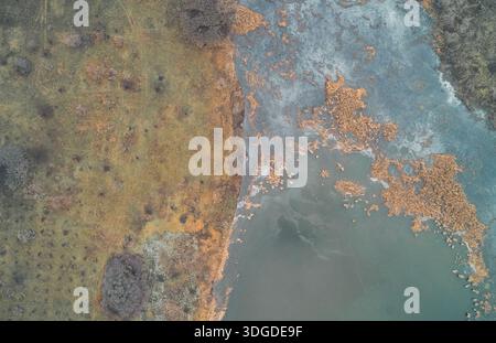Capture aérienne détaillée d'un marais vibrant mêlant poches d'eau et roseaux denses. La texture naturelle complexe souligne l'importance des milieux humides comme habitat et puits de carbone. Parfait pour les concepts environnementaux et écologiques. Banque D'Images