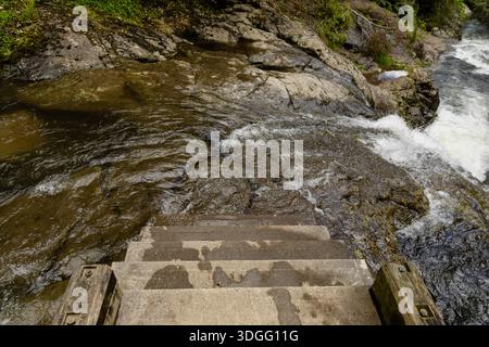 Marches en béton descendant vers Rocky River Rapids Banque D'Images