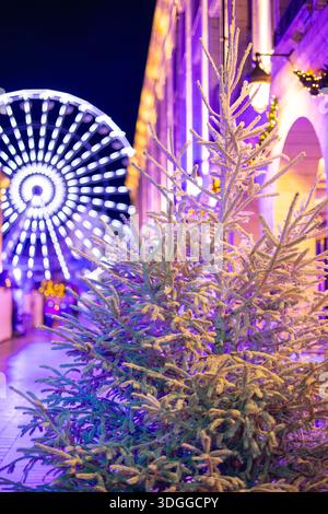 Vue rapprochée verticale de nuit d'un petit arbre de Noël à feuilles persistantes illuminé par des néons avec une grande roue floue et des arcades de bâtiment allumées Banque D'Images