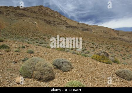 Paysage de montagne sec avec végétation dispersée sous ciel couvert, Tizgui n'Ouadda, Maroc Banque D'Images
