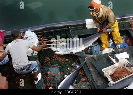 Deux pêcheurs en vêtements de travail traitent leur prise sur un bateau, El Jadida, port, Maroc Banque D'Images
