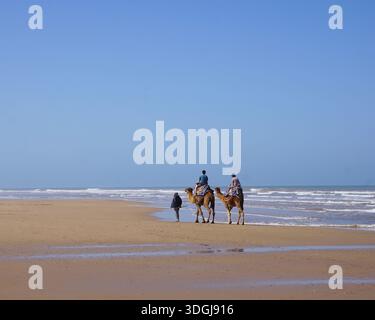 Les touristes montent à dos de chameaux le long d'une plage de sable près d'Essaouira, au Maroc, avec des vagues qui se brisent sur la côte atlantique pendant une journée ensoleillée. Banque D'Images