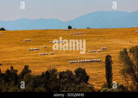 Vue panoramique sur les balles de foin dispersées sur les terres agricoles rurales avec des montagnes en arrière-plan Banque D'Images