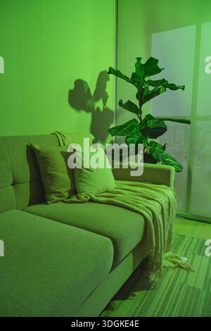 Salon minimaliste avec canapé, coussins, couverture et plante sous lumière verte Banque D'Images