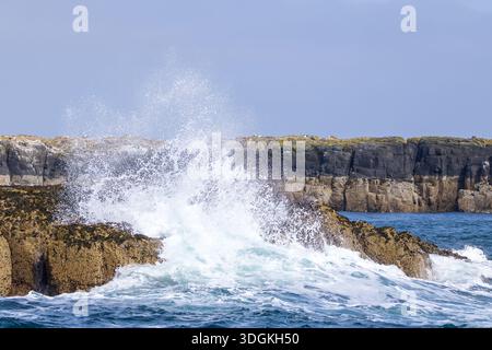 De puissantes vagues océaniques s'écrasent contre des falaises côtières accidentées sous un ciel bleu clair. Banque D'Images