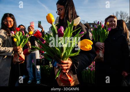 Amsterdam, pays-Bas. 17 janvier 2026. Une femme est vue tenant un bouquet de différents types de tulipes. Le troisième samedi de janvier marque la Journée nationale des tulipes, où les visiteurs peuvent ramasser des tulipes gratuitement dans un jardin de tulipes conçu pour l'événement au Museumplein à Amsterdam. La Journée nationale des tulipes est organisée par TPN, Tulip promotion Netherlands, et a lieu chaque année le troisième samedi de janvier depuis 2012. Le jardin de tulipes compte plus de 200 000 tulipes colorées. (Photo par Ana Fernandez/SOPA images/SIPA USA) crédit : SIPA USA/Alamy Live News Banque D'Images
