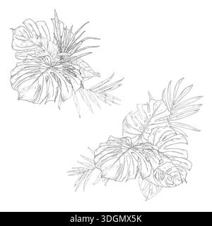 Feuilles de palmier et monstera, fleur de guzmania sur une composition de coin, croquis. Illustration vectorielle. Feuilles d'arbre tropical, ensemble isolé sur fond blanc Illustration de Vecteur