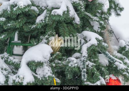 La décoration de Noël à l'extérieur brille lumineux, la décoration de vacances en plein air présente une branche de pin chatoyante avec des aiguilles givrées et des ornements étincelants Banque D'Images