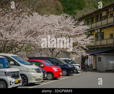 Nara, Japon - 4 avril 2025. Parking à l'entrée du temple Tsubosaka pendant la saison des cerisiers en fleurs à Nara, Japon. Banque D'Images