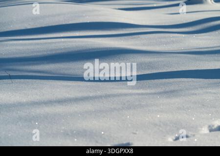 la neige ensoleillée aux ondulations douces et à la poudre scintillante, la lumière du matin calme projette de longues ombres bleues sur un champ immaculé, idée de composition minimaliste Banque D'Images