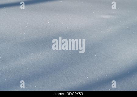 neige étincelante avec des ombres d'arbres douces, cristaux scintillants délicats sur la surface lisse de la poudre, tons bleus froids, longues ombres diagonales créant tranquilles Banque D'Images