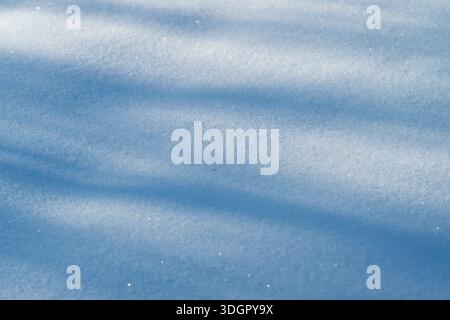 neige scintillante ensoleillée avec de longues ombres, une surface ondulée douce et des tons bleus subtils, des silhouettes d'arbres projetant une ombre allongée, une atmosphère froide croustillante, Banque D'Images