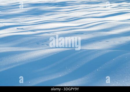 Ondulations de neige ensoleillées créant des motifs abstraits, de longues ombres diagonales, des cristaux scintillants, une composition minimaliste, une atmosphère calme tôt le matin, ver Banque D'Images
