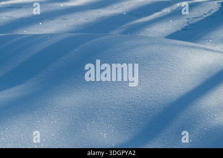 Surface de neige étincelante avec des ombres douces, texture cristalline fine, dérives douces, reflets ensoleillés, ambiance calme du parc hivernal, reflets bleus vifs, doit Banque D'Images