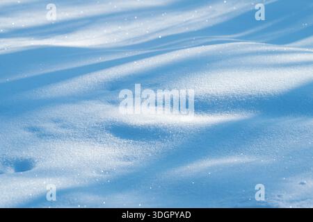 parc de dérives de neige étincelantes ensoleillées, cristaux scintillants sur une surface intacte, ondulations douces et contours doux, ombres bleu pâle et highli lumineux Banque D'Images