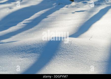 neige scintillante ensoleillée avec ombres allongées, gros plan de cristaux étincelants et texture ondulée subtile, composition minimaliste adaptée pour l'arrière-plan Banque D'Images