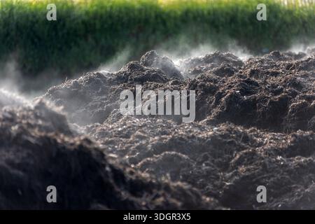 Brighton, 18 janvier 2026 : fumier frais dans un tas de compost dégageant de la vapeur dans le froid hivernal dans le parc national South Downs crédit : Andrew Hasson/Alamy Live News Banque D'Images