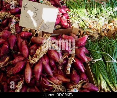 Oignons rouges et oignons de printemps en vente sur un marché alimentaire à Syracuse, Sicile. Banque D'Images