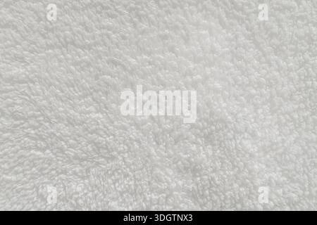 Texture de tissu de fausse fourrure blanche douce gros plan, vue de dessus Banque D'Images