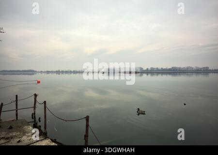 Chaîne de fer sur un coin par le bord d'une jetée au bord du lac, avec des bouées flottantes à proximité et un ciel nuageux coulé dans l'eau, dans le pays italien Banque D'Images