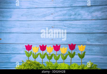Rangée de tulipes colorées en feutre rose et jaune avec des feuilles vertes, disposées sur mousse décorative sur un fond en bois bleu. Décora printanier joyeux Banque D'Images