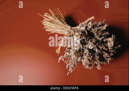 Une image en gros plan de fleurs de lavande séchées reposant sur une surface rouge. La lavande est disposée dans un petit paquet, mettant en valeur son violet délicat et wh Banque D'Images