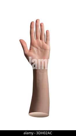Main humaine levée vers le haut avec la paume ouverte et les doigts étendus, sur fond blanc. Le geste de salutation, d'arrêt ou de communication. La composition Highl Banque D'Images