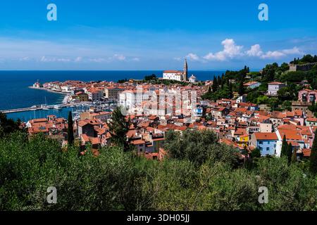 Vue panoramique sur la verdure vers la vieille ville avec le port et l'église paroissiale George's au loin. Banque D'Images