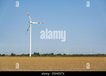 Rangée d'éoliennes tournant à travers des champs dorés dans la zone rurale de Düsseldorf, Allemagne Banque D'Images