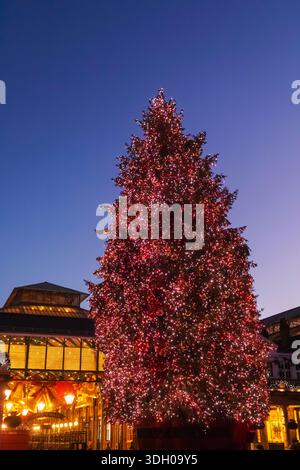 Angleterre, Londres, Covent Garden, Arbre De Noël Covent Garden Illuminé La Nuit Banque D'Images